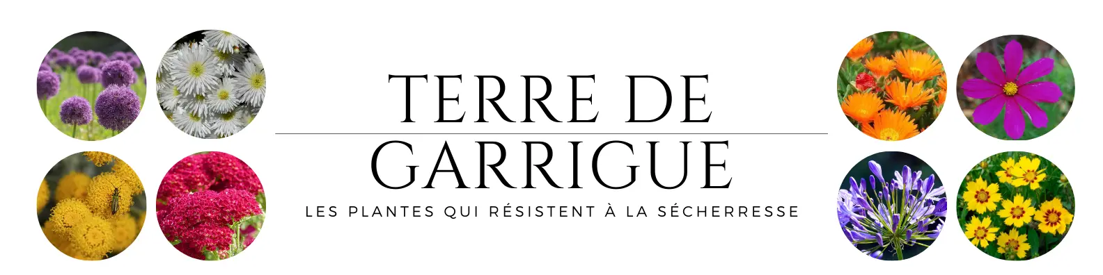 TerredeGarrigue